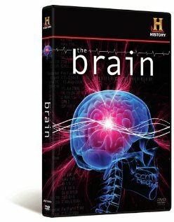 The Brain